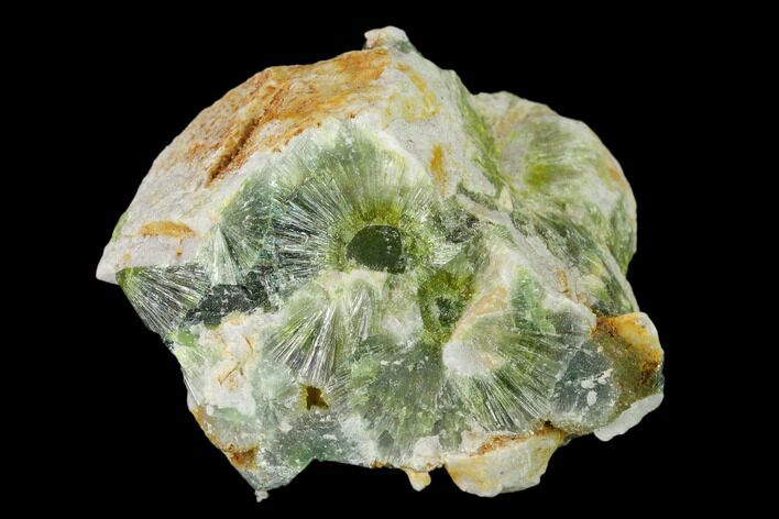 Radiating, Green Wavellite Crystal Aggregation - Arkansas #135969